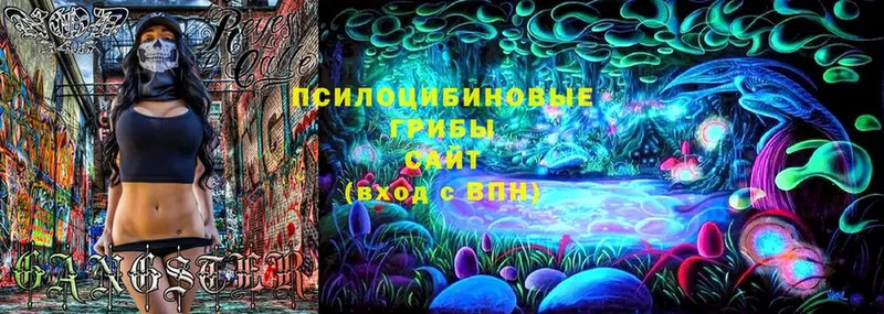 Галлюциногенные грибы Psilocybe  Новосиль 